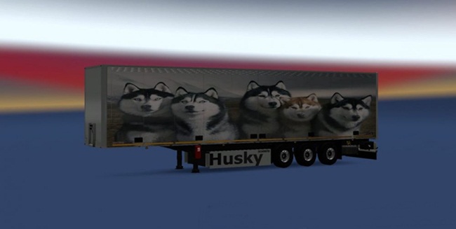 husky-dorse
