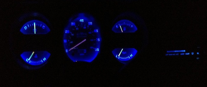 mavi-isikli-gostege-paneli